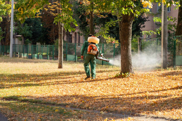 Best Best Pest Control Companies  in Bay St Louis, MS